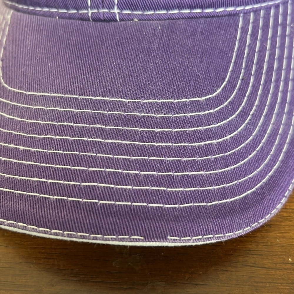 Panthers Ball Cap Adjustable Baseball Cap Trucker… - image 8